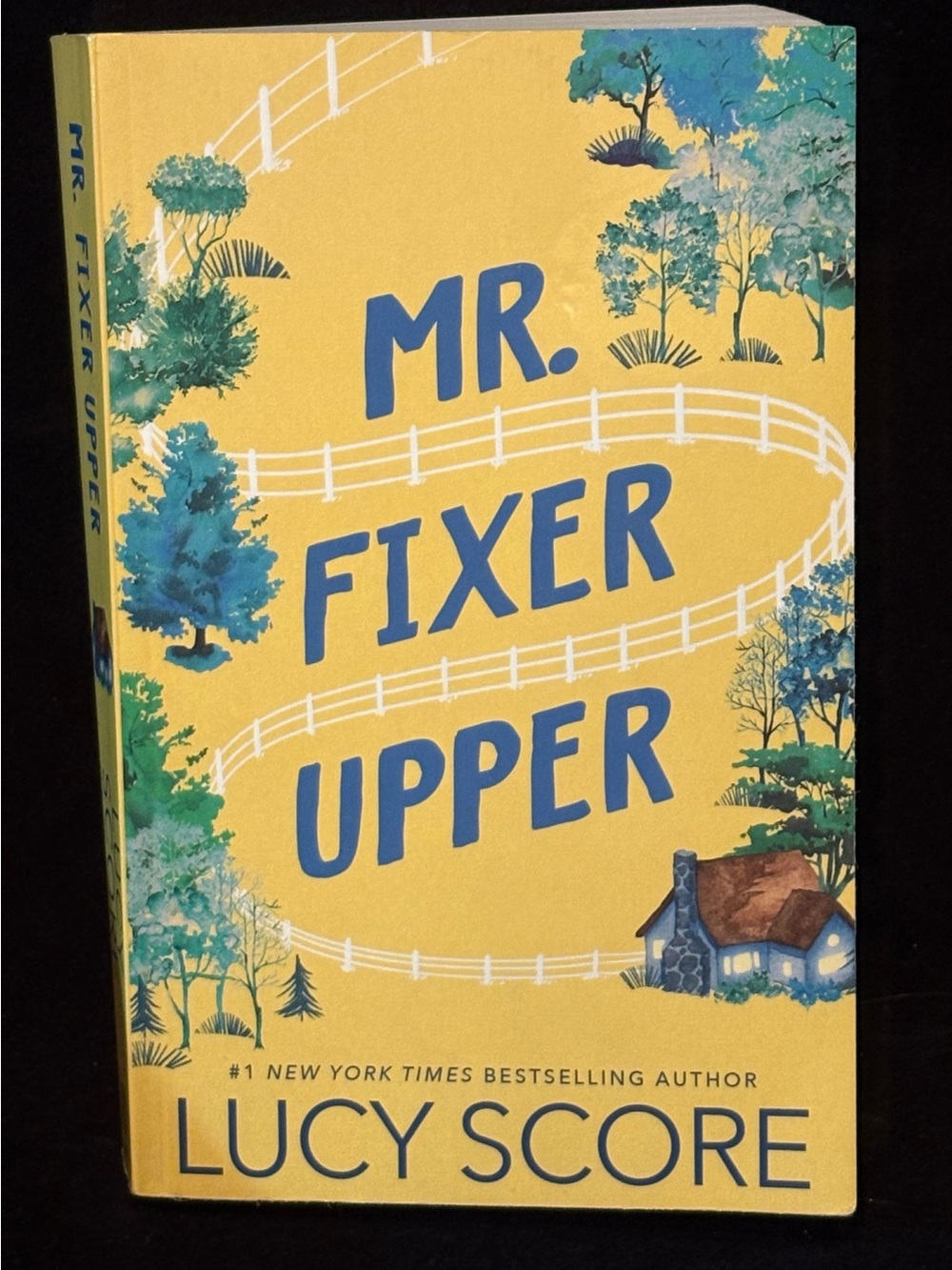 Mr. Fixer Upper by Lucy Score